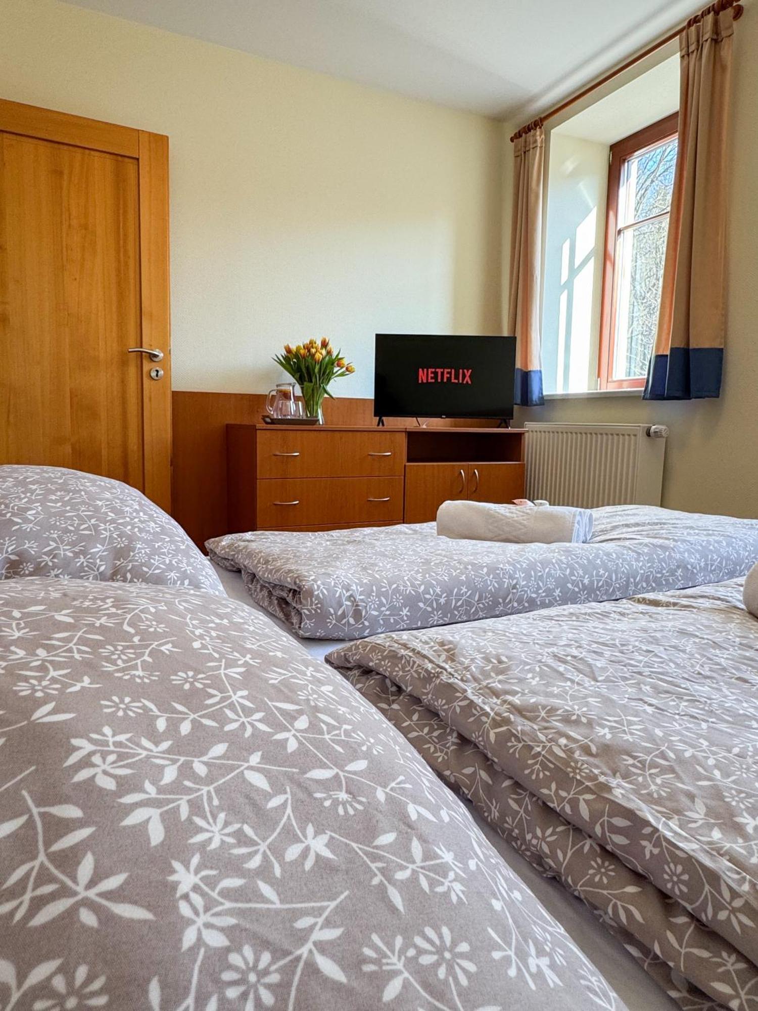 Penzion Citkuv Mlyn Šluknov Extérieur photo