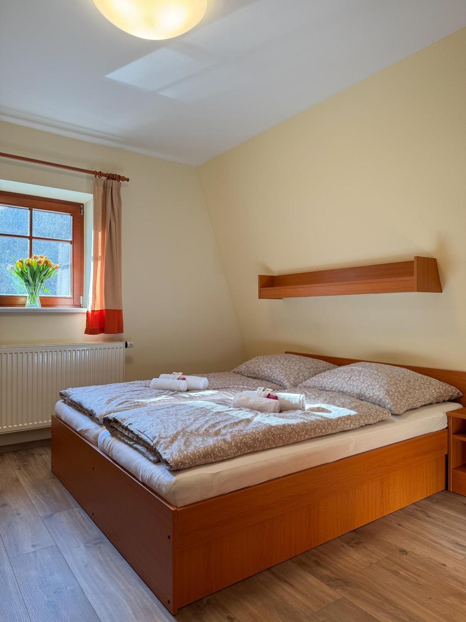 Penzion Citkuv Mlyn Šluknov Extérieur photo